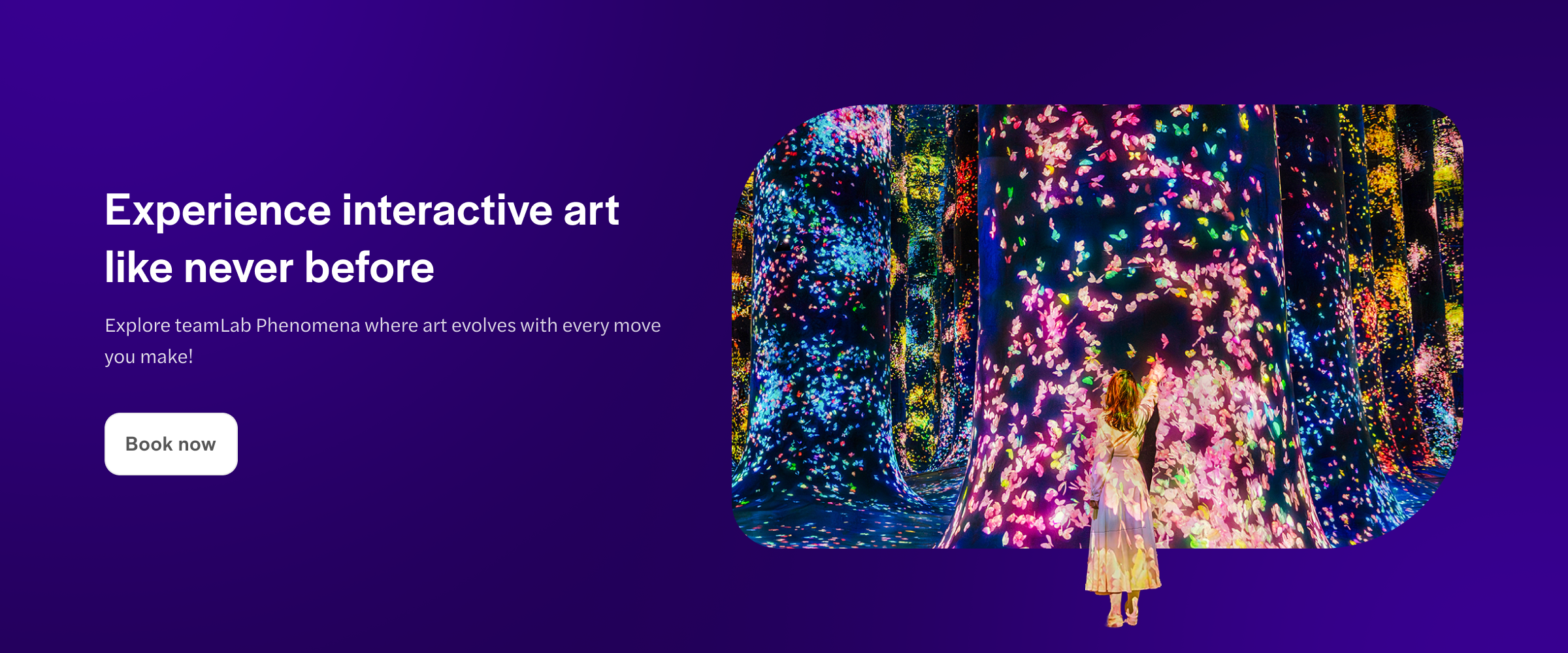 Interactive digital art installation with colorful lights at TeamLab Abu Dhabi.